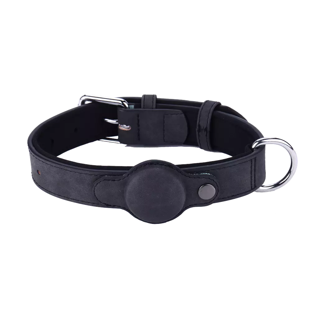 Find my dog collar best sale