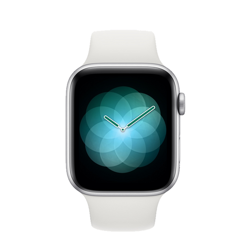 Apple Watch Series 4